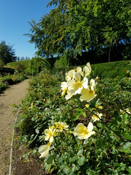 Nyetimber Manor